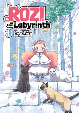 portada Rozi in the Labyrinth Vol. 3 (in English)