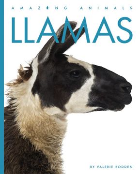 portada Llamas (Amazing Animals) (en Inglés)