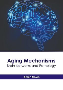 portada Aging Mechanisms: Brain Networks and Pathology (en Inglés)