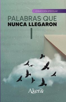portada Palabras que nunca llegaron I