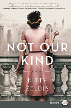 portada Not our Kind: A Novel 