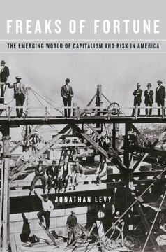 portada Freaks Of Fortune: The Emerging World Of Capitalism And Risk In America (in English)