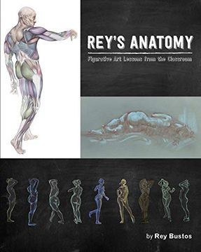 portada Rey's Anatomy: Figurative art Lessons From the Classroom (en Inglés)