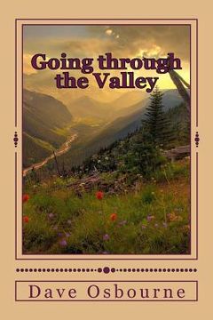portada Going through the valley: The Path to Destiny (en Inglés)