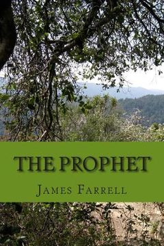 portada The Prophet: A Superhero Novel (en Inglés)