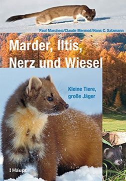 portada Marder, Iltis, Nerz und Wiesel (in German)