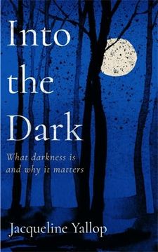 portada Into the Dark: What Darkness is and why it Matters (en Inglés)