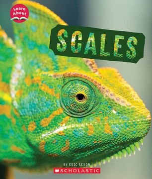 portada Scales (Learn About: Animal Coverings) (in English)
