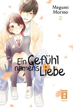 portada Ein Gefühl Namens Liebe 02 (en Alemán)