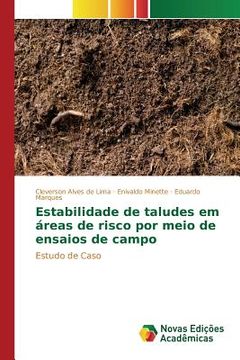 portada Estabilidade de taludes em áreas de risco por meio de ensaios de campo (in Portuguese)
