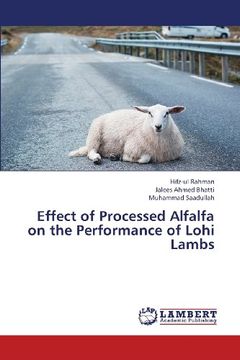portada Effect of Processed Alfalfa on the Performance of Lohi Lambs