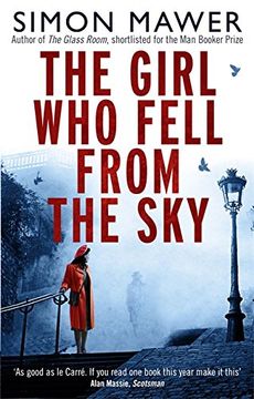 portada The Girl Who Fell From The Sky