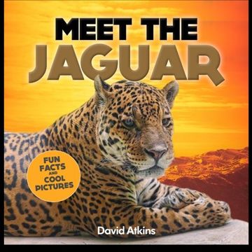 portada Meet The Jaguar: Fun Facts & Cool Pictures (Meet The Cats)