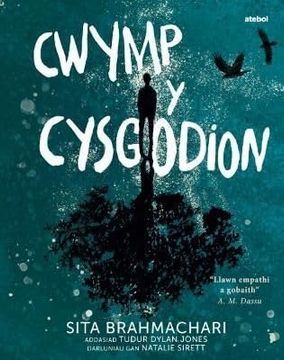 portada Darllen yn Well: Cwymp y Cysgodion (en Welsh)