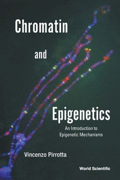 portada Chromatin and Epigenetics: An Introduction to Epigenetic Mechanisms (en Inglés)