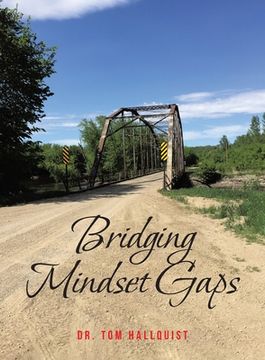 portada Bridging Mindset Gaps (in English)