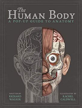 portada The Human Body: A Pop-Up Guide to Anatomy (en Inglés)