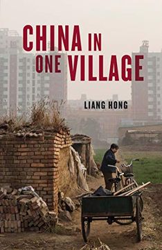 portada China in one Village: The Story of one Town and the Changing World (en Inglés)