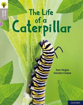 portada Oxford Reading Tree Word Sparks: Level 1: The Life of a Caterpillar (en Inglés)
