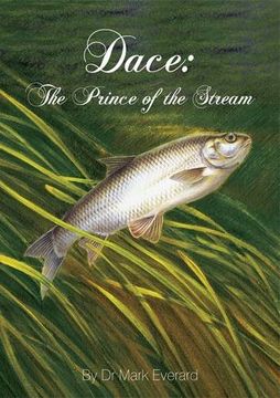 portada Dace: The Prince of the Stream
