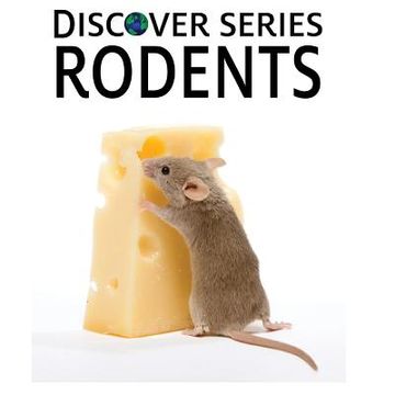 portada Discover Series Rodents: Discover Series Picture Book for Children (in English)