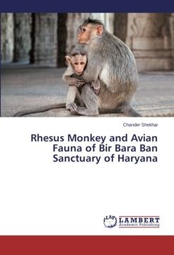 portada Rhesus Monkey and Avian Fauna of Bir Bara Ban Sanctuary of Haryana