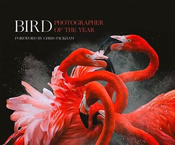 portada Bird Photographer Of The Year: Collection 3 (en Inglés)