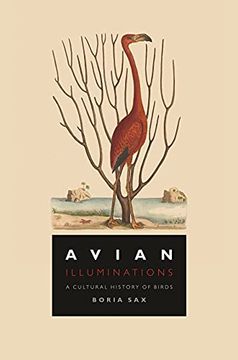 portada Avian Illuminations: A Cultural History of Birds (en Inglés)