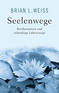portada Seelenwege: Reinkarnation und Zukünftige Lebenswege (en Alemán)