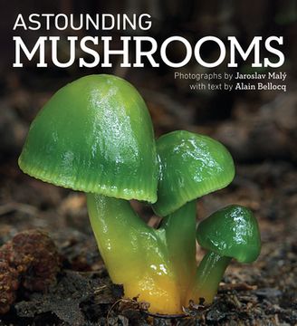 portada Astounding Mushrooms (in English)