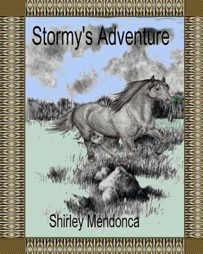 portada Stormy's Adventure (en Inglés)