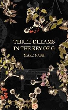 portada Three Keys in the Dream of g (en Inglés)