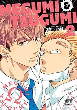Megumi & Tsugumi, Vol. 2 (en Inglés)