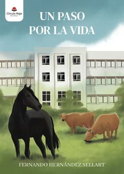 portada Un Paso por la Vida (in Spanish)