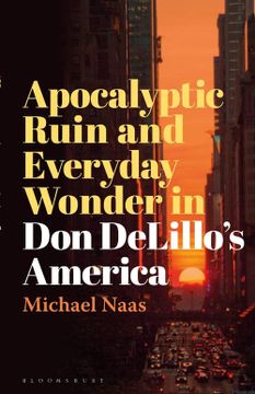 portada Apocalyptic Ruin and Everyday Wonder in Don Delillo's America (en Inglés)