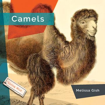 portada Camels (en Inglés)