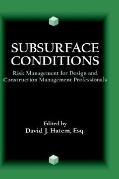 portada subsurface conditions: risk management for design and construction management professionals (en Inglés)