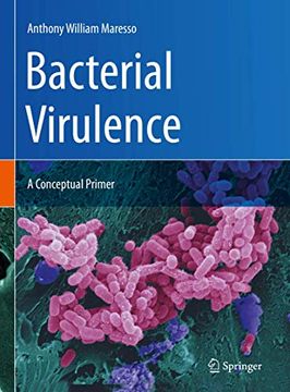 portada Bacterial Virulence: A Conceptual Primer (en Inglés)