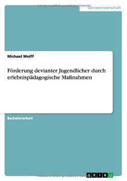 portada Förderung devianter Jugendlicher durch erlebnispädagogische Maßnahmen (German Edition)