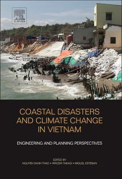 portada Coastal Disasters and Climate Change in Vietnam: Engineering and Planning Perspectives 