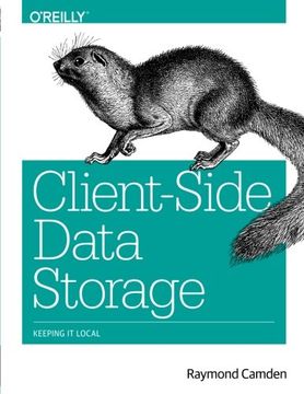 Client-Side Data Storage: Keeping It Local