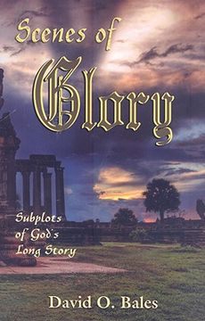 portada scenes of glory: subplots of god's long story (en Inglés)