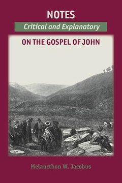 portada Notes on the Gospels: Critical and Explanatory on John