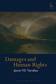 portada Damages for Breaches of Human Rights: A Tort-Based Approach (Hart Studies in Private Law)