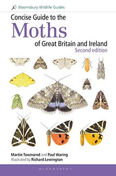 portada Concise Guide to the Moths of Great Britain and Ireland: Second Edition (en Inglés)