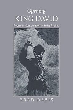 portada opening king david: poems in conversation with the psalms (en Inglés)