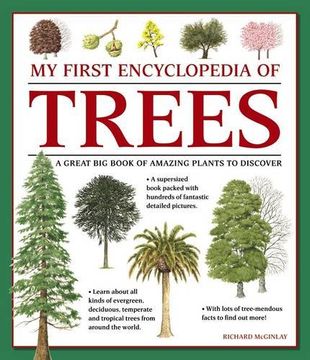 portada My First Encyclopedia of Trees (Giant Size): A Great Big Book of Amazing Plants to Discover