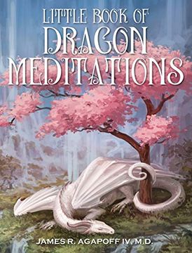 portada Little Book of Dragon Meditations (en Inglés)