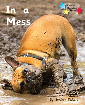 portada In a Mess (Reading Stars) 