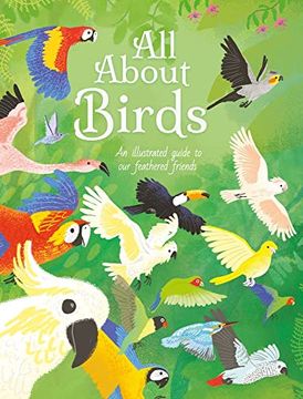 portada All About Birds: An Illustrated Guide to our Feathered Friends (All About Nature) (en Inglés)